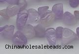 CCH641 15.5 inches 6*8mm - 10*14mm lavender amethyst chips beads