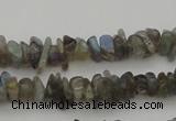 CCH645 15.5 inches 4*6mm - 5*8mm labradorite chips beads