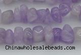 CCH648 15.5 inches 8*12mm - 10*14mm lavender amethyst chips beads