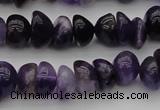 CCH650 15.5 inches 4*6mm - 5*8mm amethyst gemstone chips beads