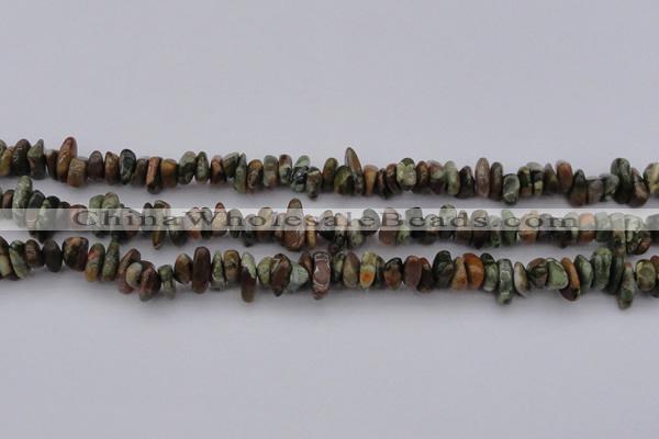 CCH662 15.5 inches 5*8mm - 6*10mm rhyolite gemstone chips beads