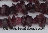 CCH704 15.5 inches 4*6mm - 6*8mm purple garnet chips beads