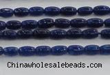 CCN4515 15.5 inches 3*5mm rice candy jade beads wholesale