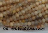 CCS301 15.5 inches 4mm round natural sunstone beads wholesale