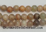 CCS303 15.5 inches 8mm round natural sunstone beads wholesale