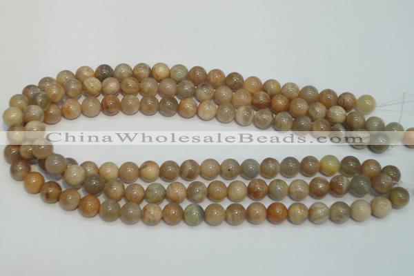 CCS304 15.5 inches 10mm round natural sunstone beads wholesale