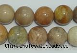 CCS307 15.5 inches 16mm round natural sunstone beads wholesale