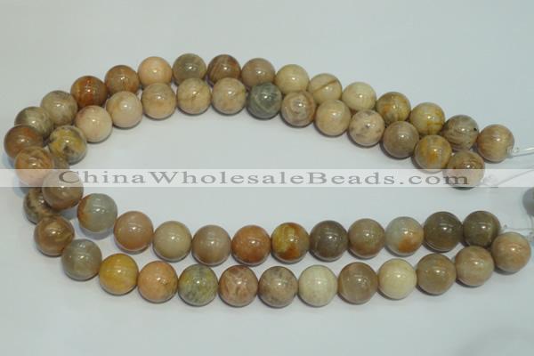 CCS307 15.5 inches 16mm round natural sunstone beads wholesale