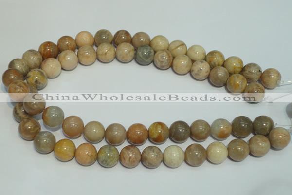 CCS307 15.5 inches 16mm round natural sunstone beads wholesale