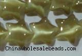 CCT866 15 inches 10mm star cats eye beads wholesale