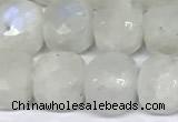 CCU1045 15 inches 8mm faceted cube white moonstone beads