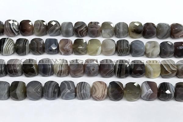 CCU1058 15 inches 8mm faceted cube botswana agate beads