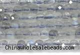 CCU1320 15 inches 2.5mm faceted cube labradorite beads