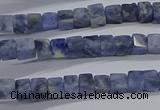 CCU314 15.5 inches 4*4mm cube sodalite beads wholesale