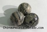 CDN1149 30mm round zebra jasper decorations wholesale