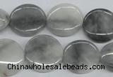 CEE203 15.5 inches 20mm flat round eagle eye jasper beads