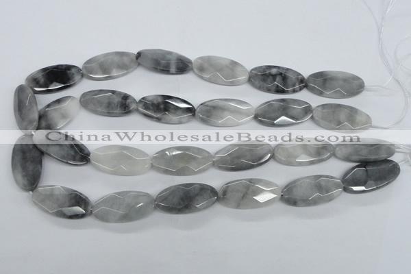 CEE214 15.5 inches 15*30mm faceted oval eagle eye jasper beads