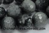 CEE24 15.5 inches 18mm faceted round eagle eye jasper beads wholesale