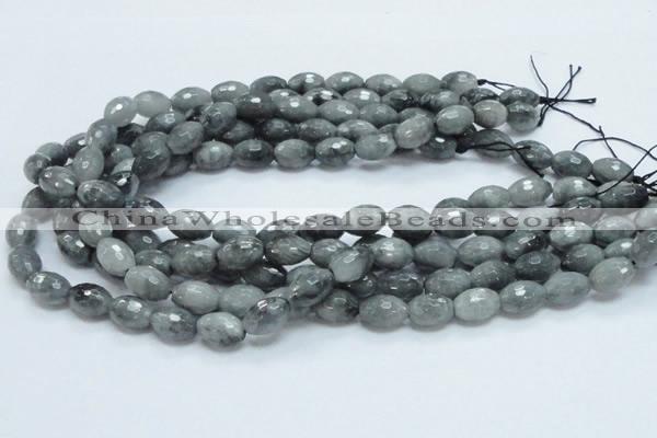 CEE28 15.5 inches 10*16mm faceted rice eagle eye jasper beads