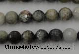 CEE353 15.5 inches 10mm faceted round eagle eye jasper beads