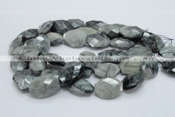 CEE46 15.5 inches 23*32mm faceted freeform eagle eye jasper beads