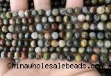 CEE524 15.5 inches 6mm round eagle eye jasper beads wholesale