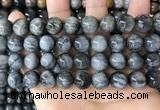 CEE544 15.5 inches 12mm round eagle eye jasper gemstone beads