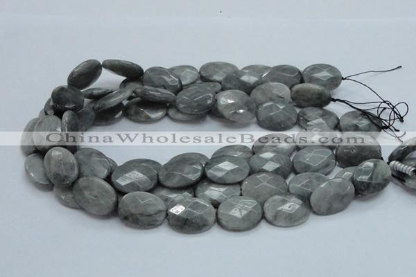 CEE55 15.5 inches 15*30mm faceted oval eagle eye jasper beads