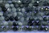 CEE560 15 inches 2mm faceted round eagle eye jasper beads