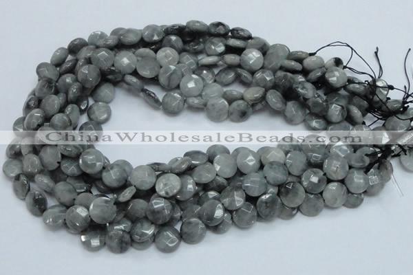 CEE58 15.5 inches 14mm faceted coin eagle eye jasper beads