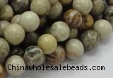 CFA03 15.5 inches 10mm round chrysanthemum agate gemstone beads