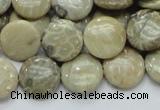 CFA07 15.5 inches 15mm flat round chrysanthemum agate gemstone beads