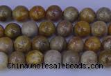 CFC200 15.5 inches 4mm round fossil coral beads wholesale