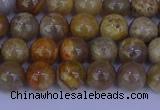 CFC201 15.5 inches 6mm round fossil coral beads wholesale