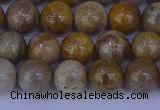 CFC202 15.5 inches 8mm round fossil coral beads wholesale