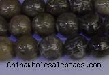 CFC213 15.5 inches 10mm round grey fossil coral beads wholesale