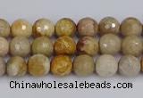 CFC228 15.5 inches 4mm faceted round fossil coral beads