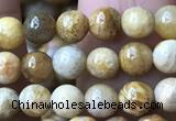 CFC320 15.5 inches 4mm round fossil coral beads wholesale
