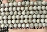 CFC331 15.5 inches 8mm round fossil coral beads wholesale