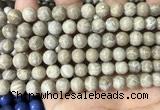 CFC332 15.5 inches 8mm round fossil coral beads wholesale