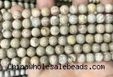 CFC333 15.5 inches 8mm round fossil coral beads wholesale