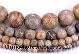 CFC55 15.5 inches round coral fossil jasper beads wholesale