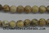 CFS02 15.5 inches 10mm round natural feldspar gemstone beads