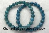 CGB2621 7.5 inches 8mm round natural apatite beaded bracelets