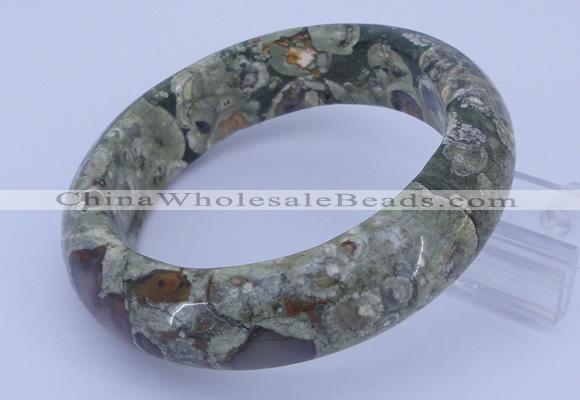 CGB476 Inner diameter 58mm fashion rhyolite gemstone bangle