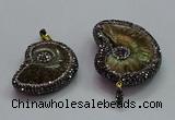 CGP1561 20*28mm - 25*35mm ammonite pendants wholesale