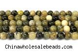 CHJ103 15 inches 10mm round honeybee jasper beads