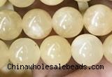 CHJ12 15.5 inches 8mm round honey jade beads wholesale