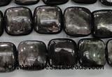 CHS82 15.5 inches 14*14mm square natural hypersthene beads