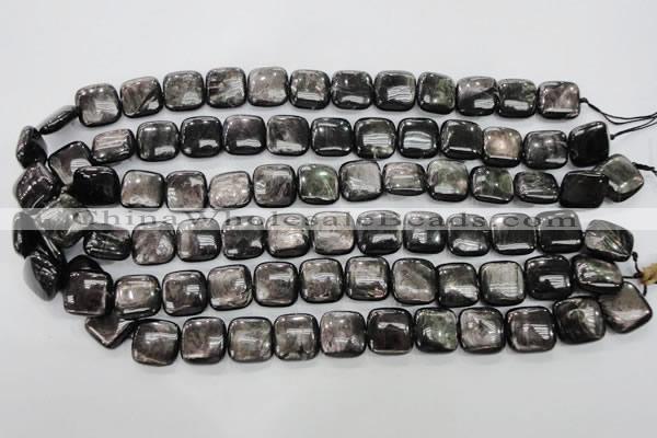 CHS82 15.5 inches 14*14mm square natural hypersthene beads